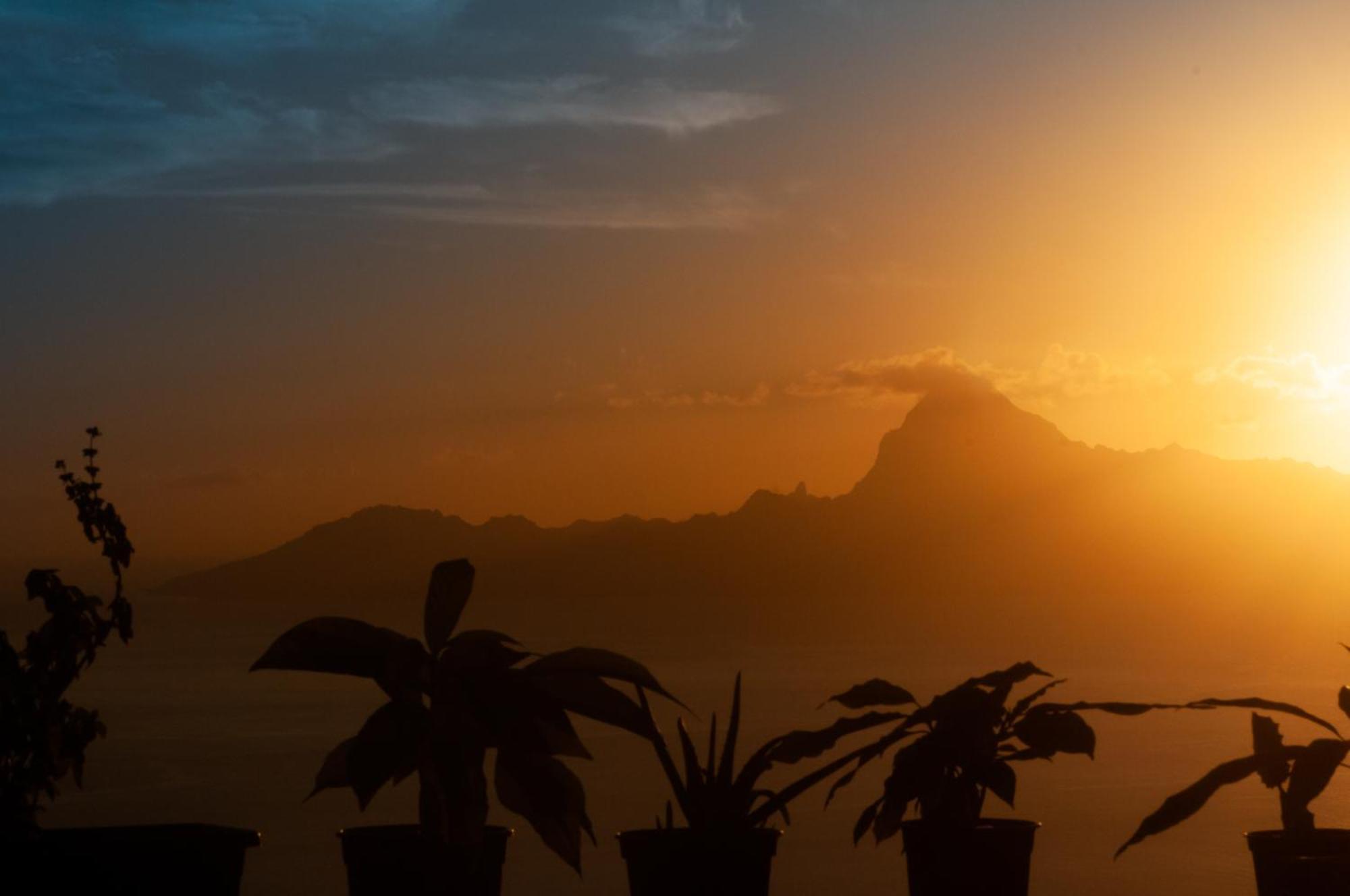 Vue Sur Moorea Apartment Punaauia  Bagian luar foto